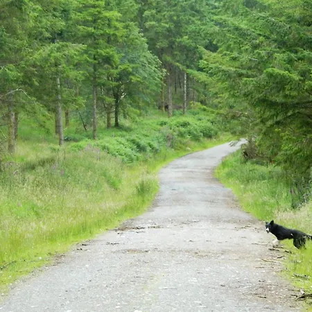 Holiday Village Vakantiehuis Rathmore (Wicklow)